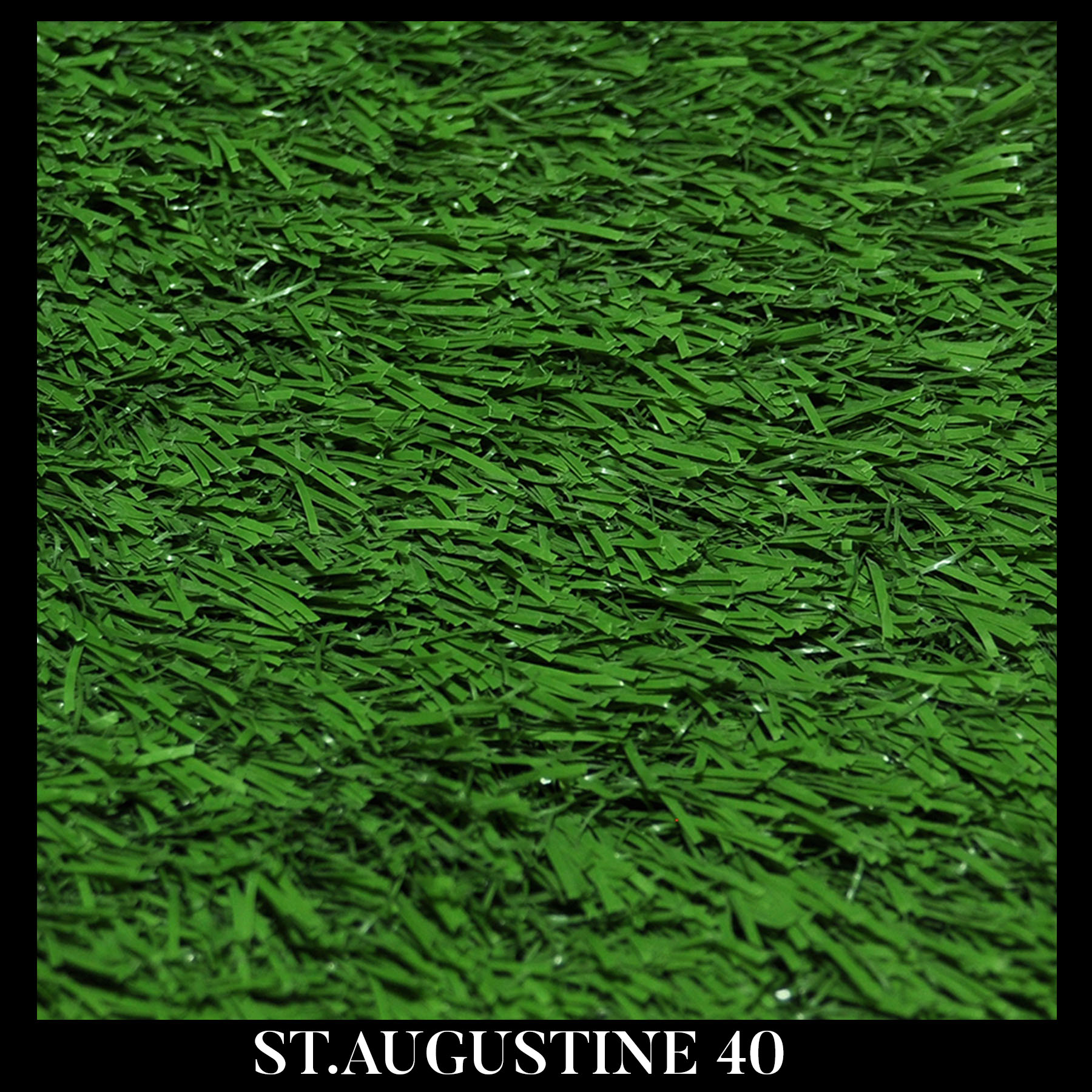 ST AUGUSTINE 40